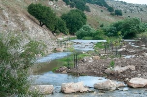 נחל ציפורי אגמא